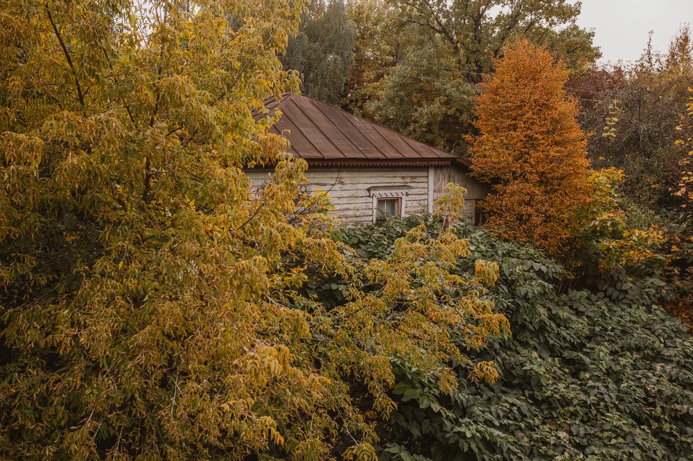 Photograph by Галина Кочеткова