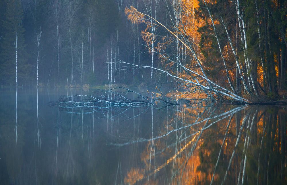 Photograph by Евгения Ботова