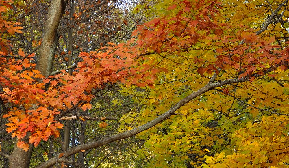 Photograph by Евгений