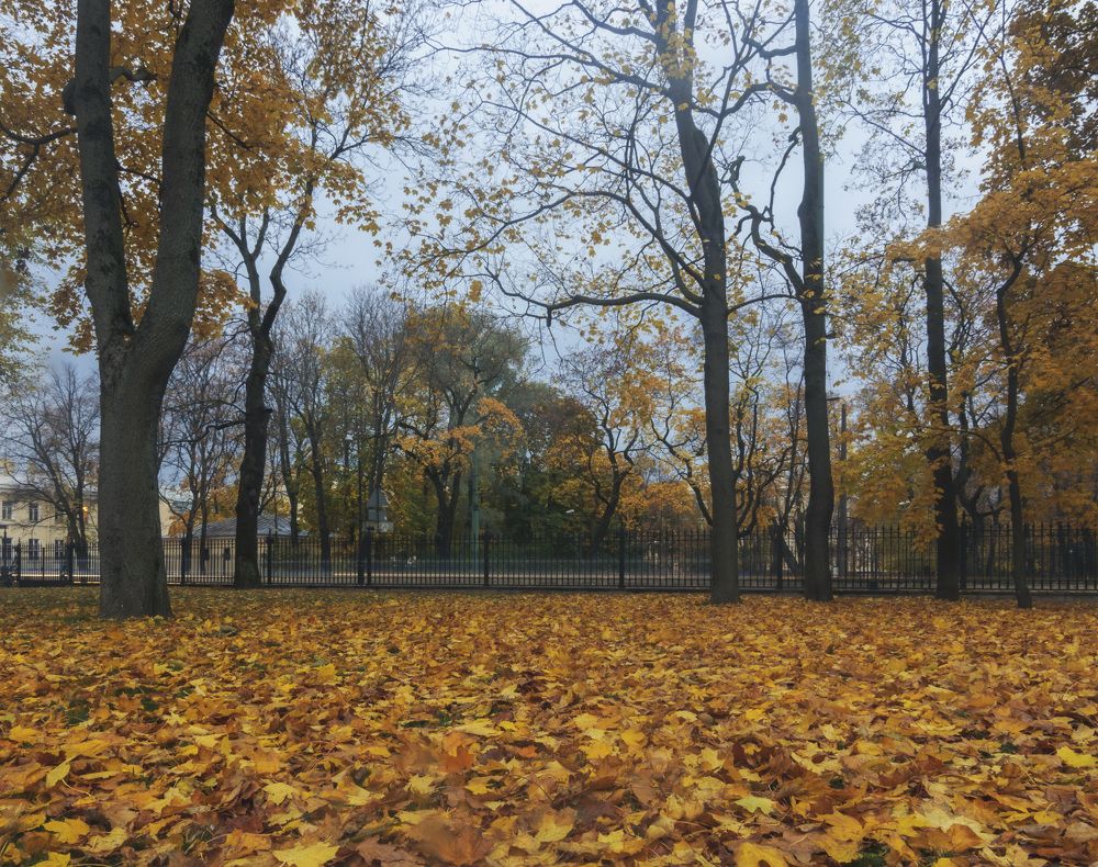 Photograph by Армашов-Тельник Григорий