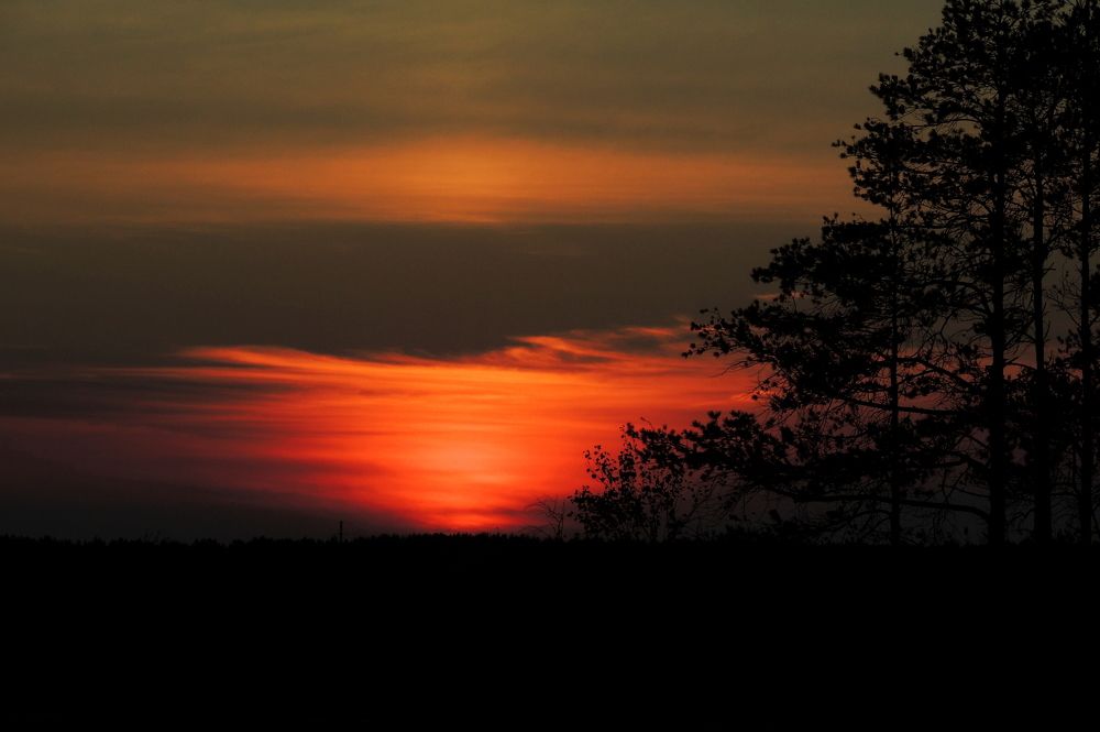 Photograph by Дмитрий Салов