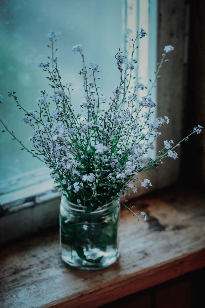 Photograph by Галина Кочеткова