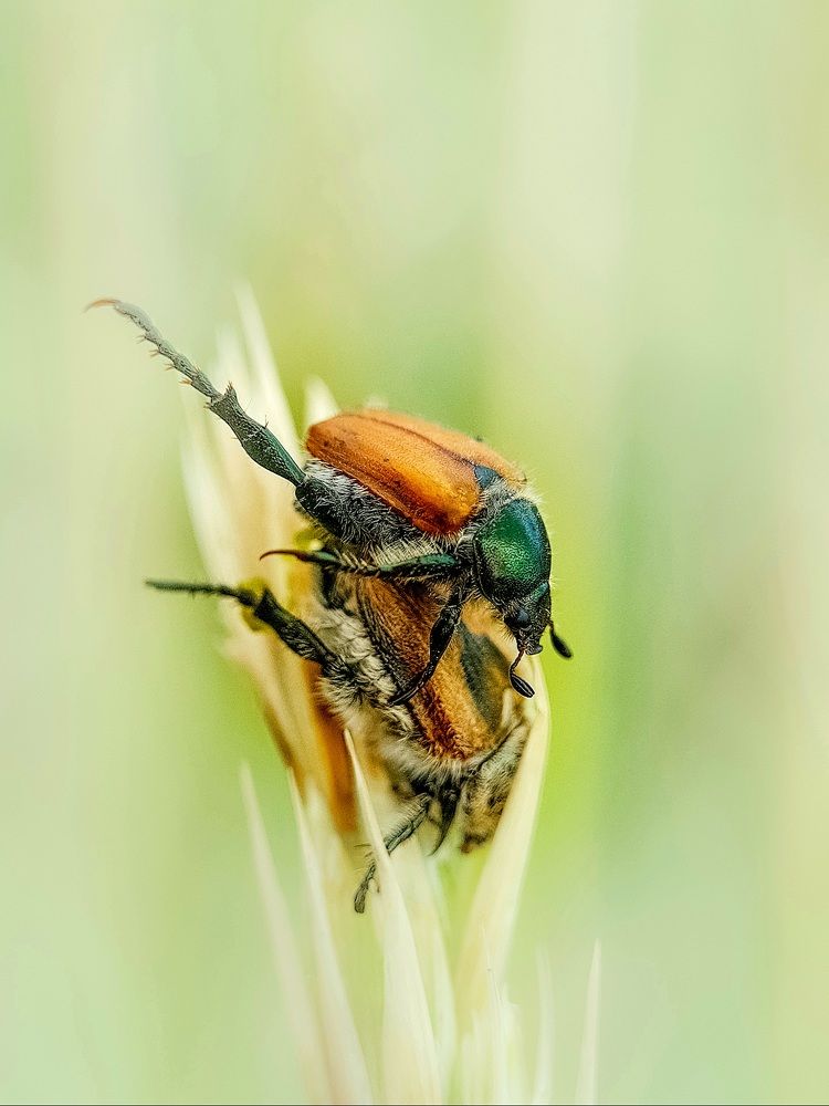 Photograph by Лариса Когтева