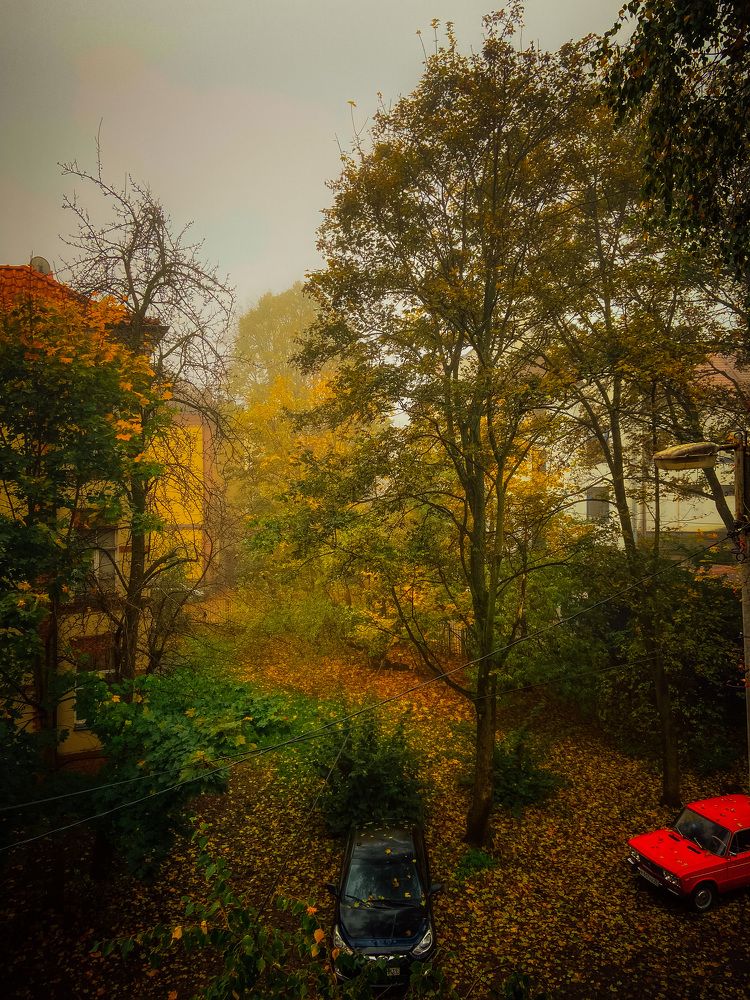 Photograph by Юлия Пыльцева