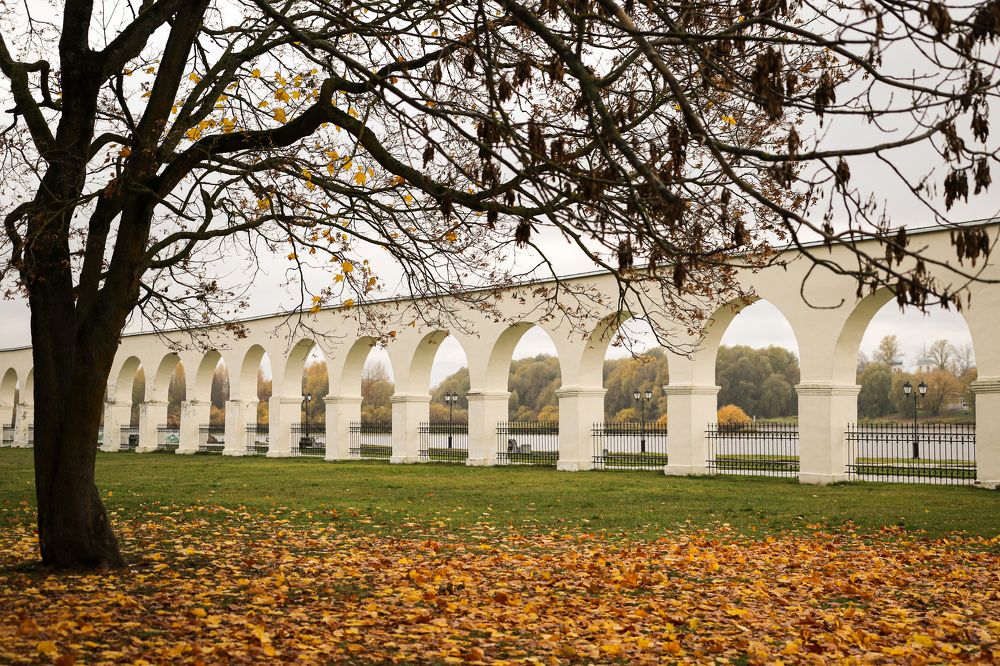 Photograph by Надежда Сидорова