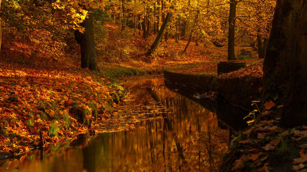 Photograph by Дмитрий Грошиков