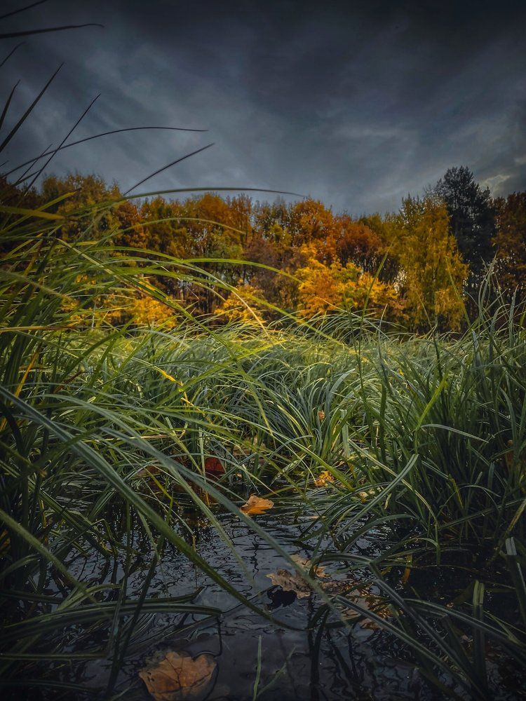 Photograph by Елена Переверзева