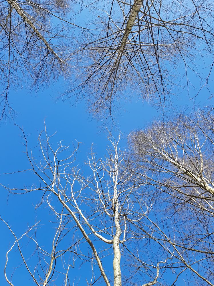 Фотография автора Светлана Дунаева