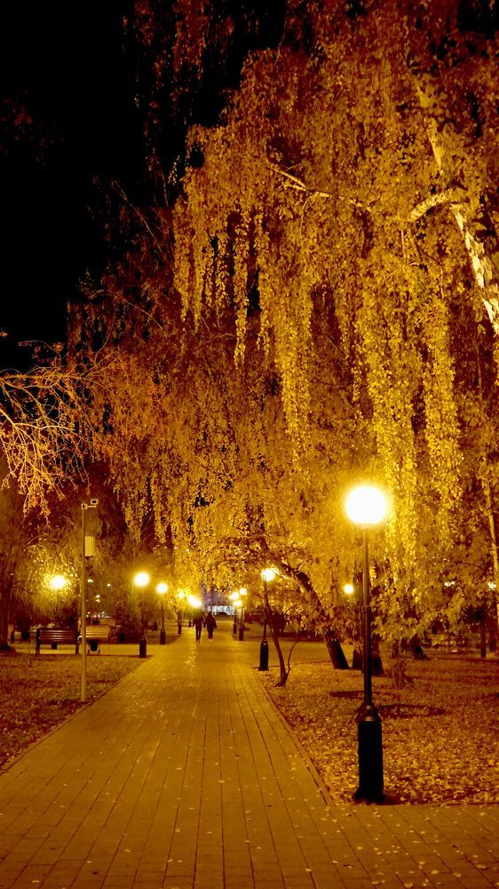 Photograph by АНДРЕЙ ОБРЯДОВ