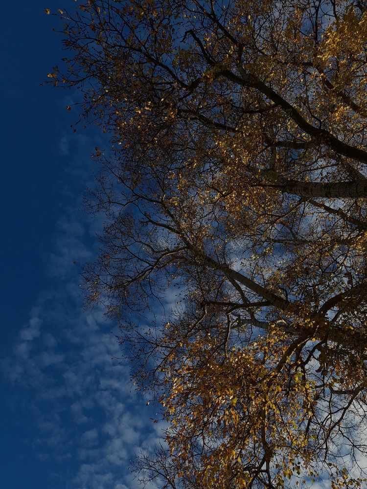 Photograph by Ульяна