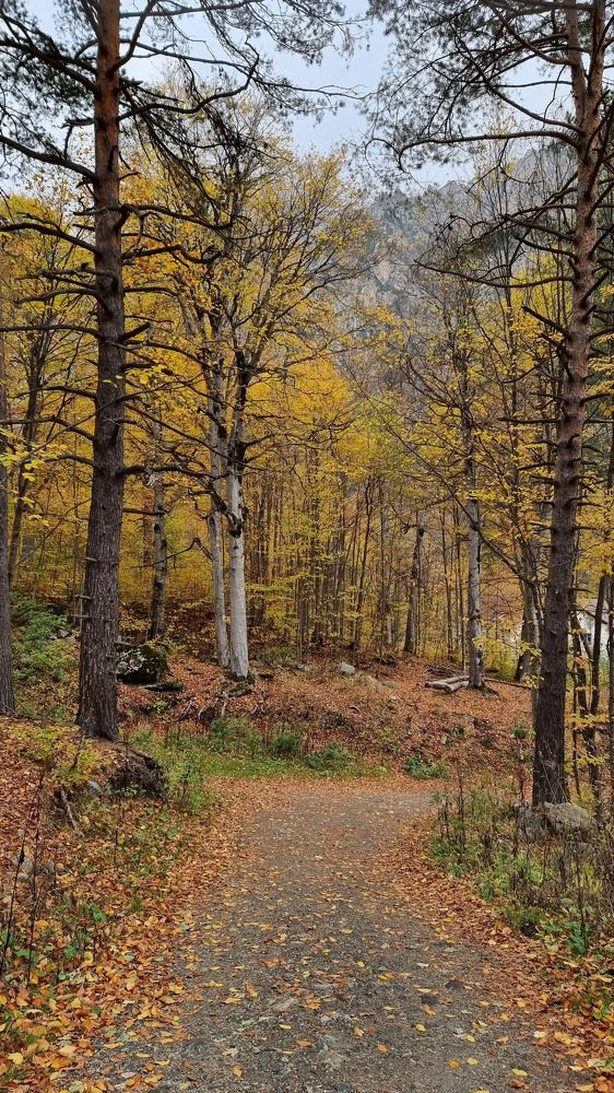 Photograph by Ирина Кравченко