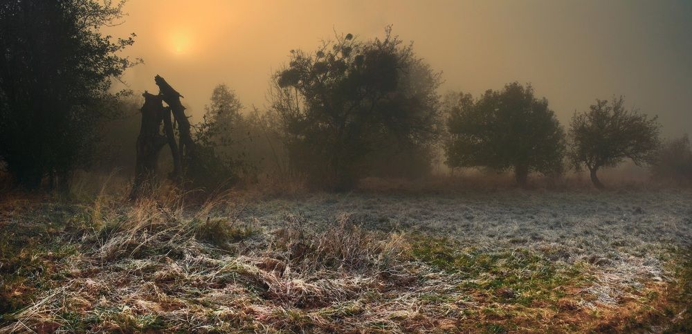 Photograph by Владимир