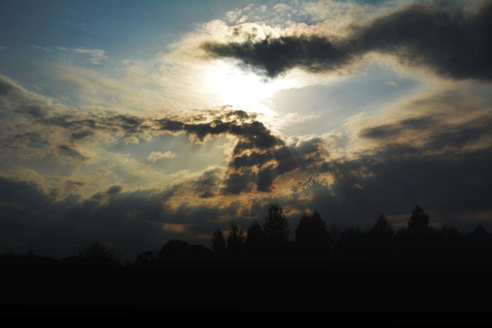 Photograph by Sветлана Афонина