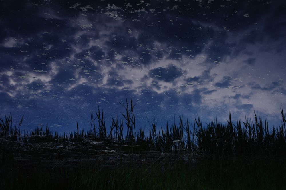 Photograph by Sветлана Афонина