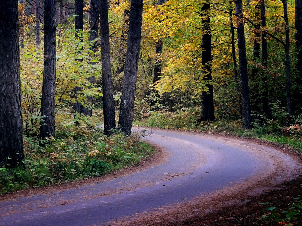 Photograph by Sветлана Афонина