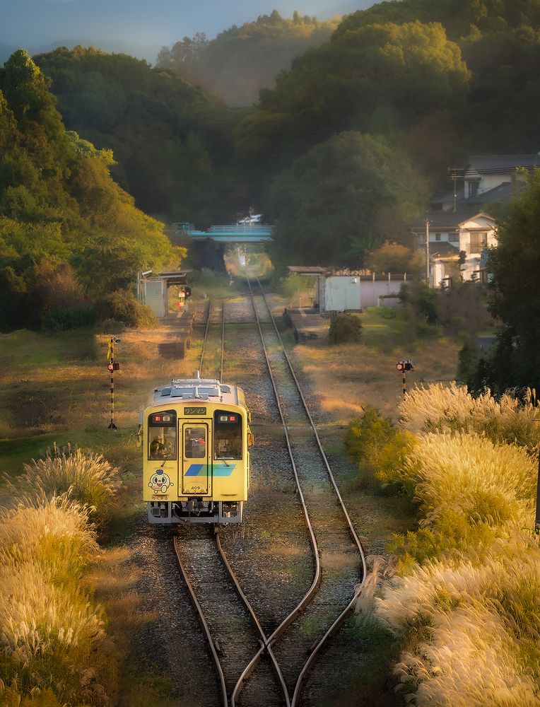 Photograph by Nguyễn Anh Vũ