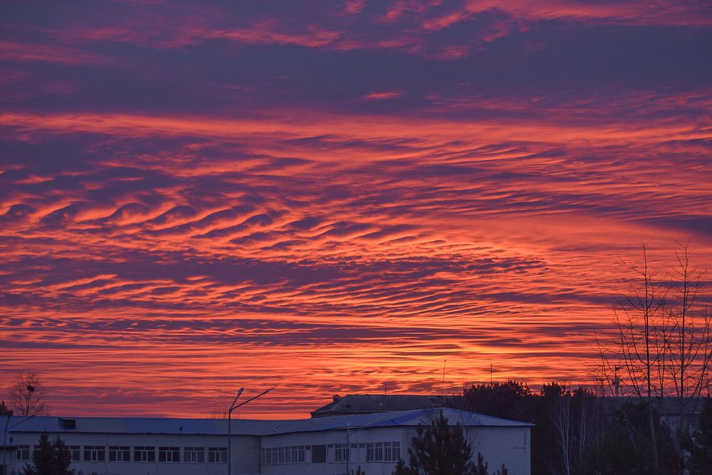 Photograph by Блохина Ольга