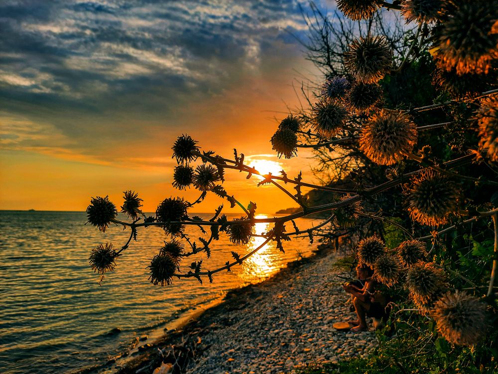 Утомленные солнцем