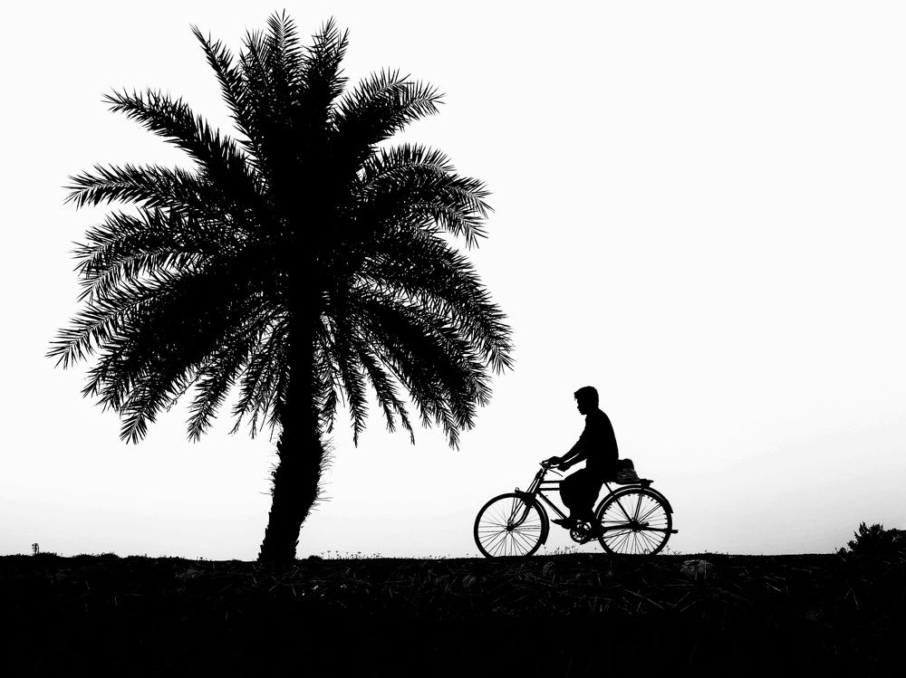 Photograph by Mohammad Abul Hasnat