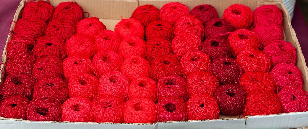 Photograph by Armando López-Guerrero