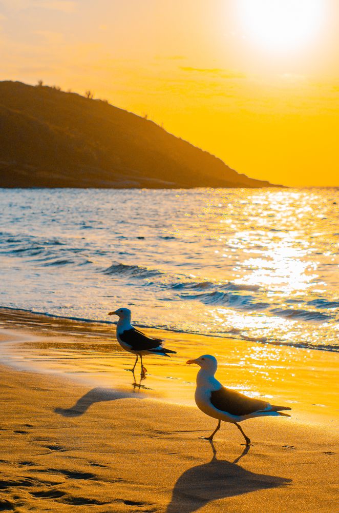 Photograph by Carlos Henrique