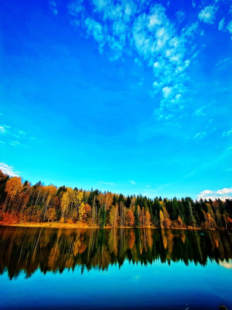 Краски осени