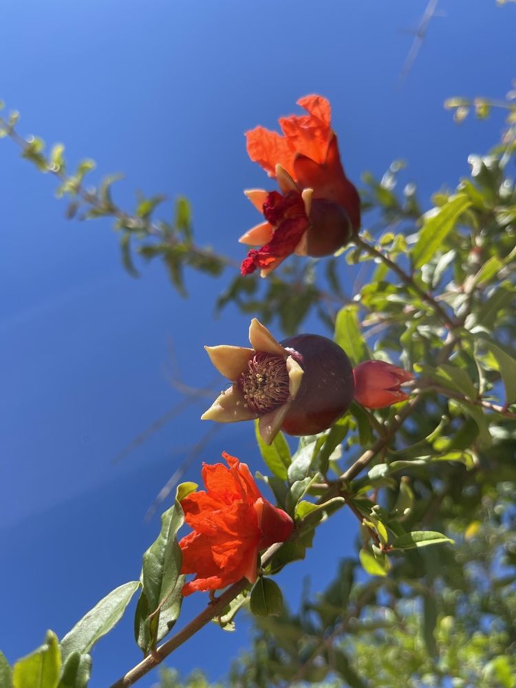 Photograph by Inna Shevchenko