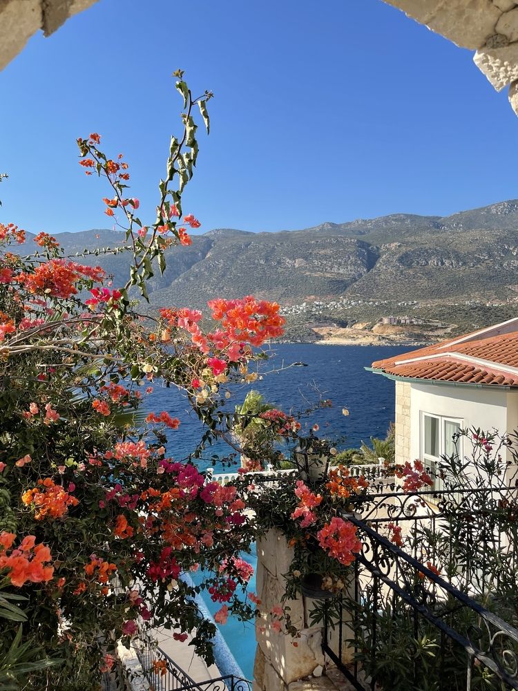 Photograph by Inna Shevchenko