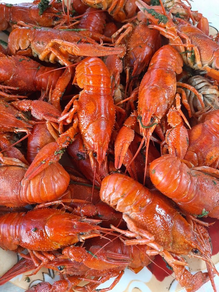 Photograph by Ольга Харламова