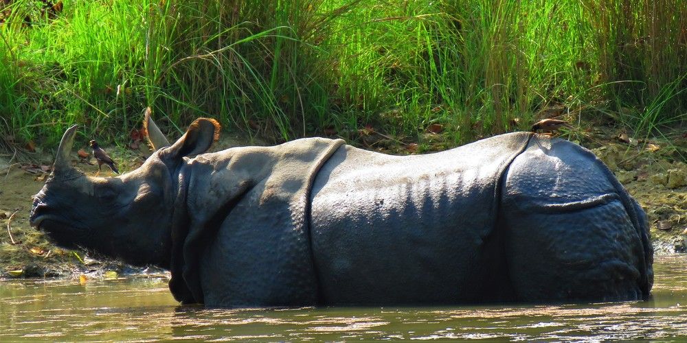 Photograph by ANISH BISWAS