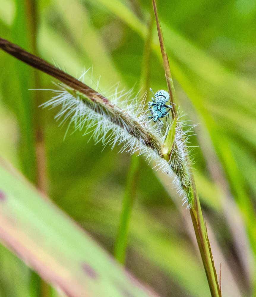 Фотография автора Sajeev Krishnan