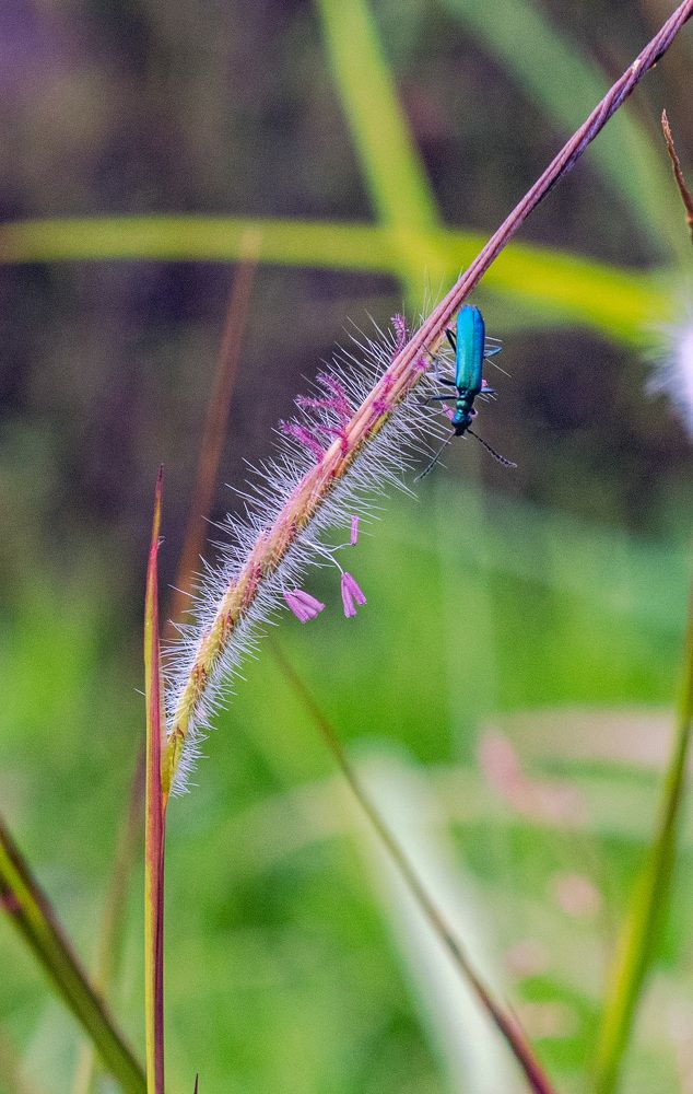 Фотография автора Sajeev Krishnan