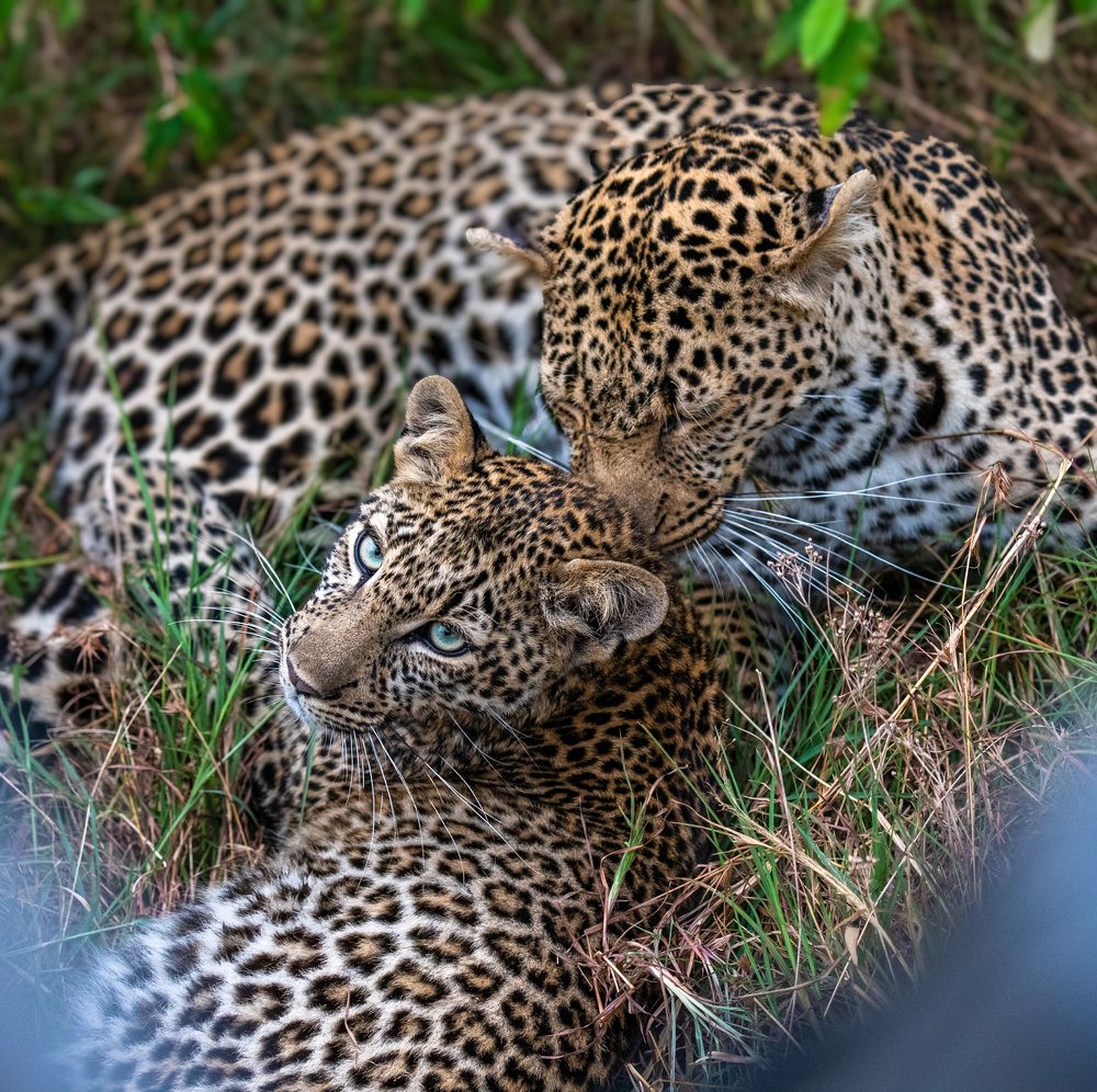 Фотография автора Sajeev Krishnan