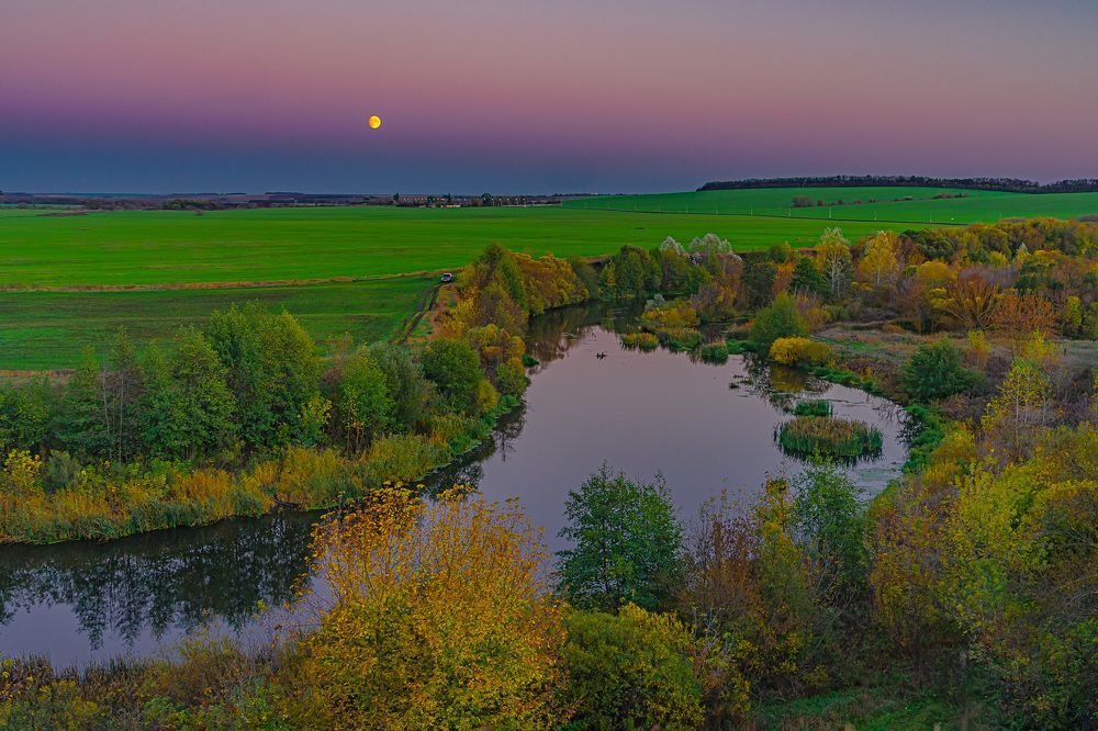 Фотография автора Николай Бологов