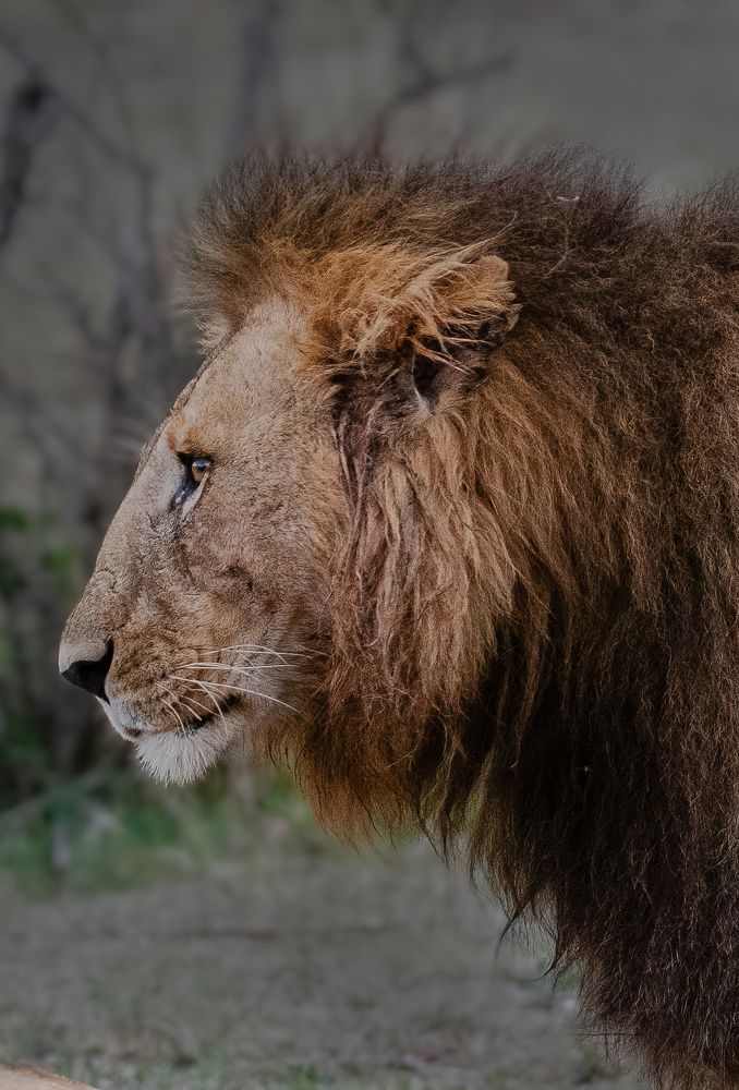 Фотография автора Sajeev Krishnan