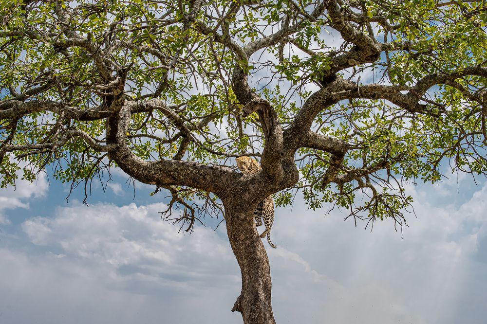 Фотография автора Sajeev Krishnan