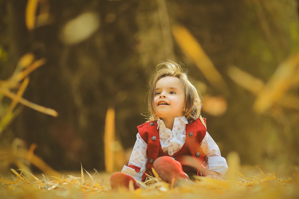 Фотография автора Vijay Richhiya