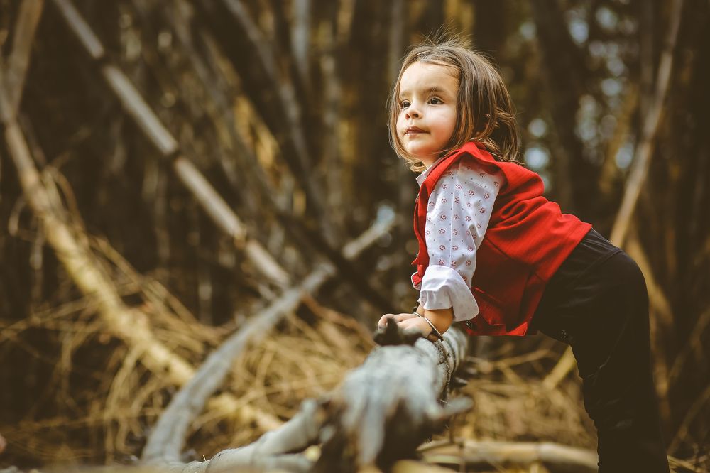 Фотография автора Vijay Richhiya