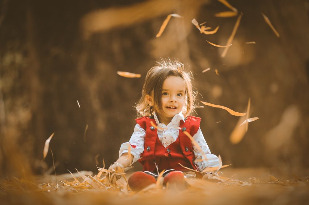 Фотография автора Vijay Richhiya