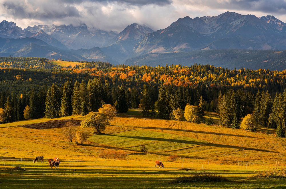 Photograph by Fabian Stepien