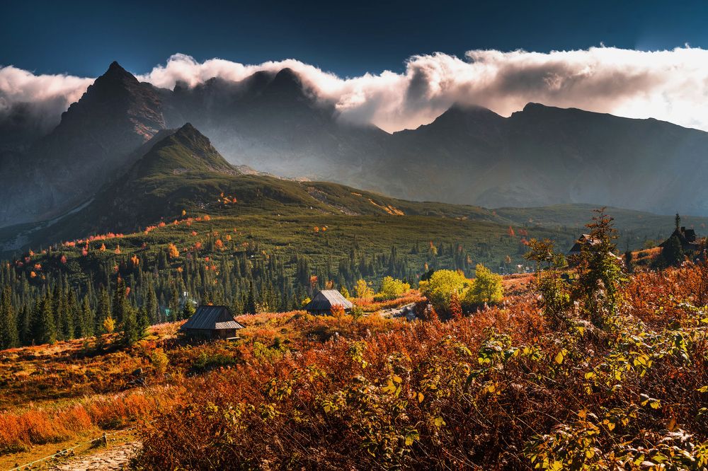 Photograph by Fabian Stepien