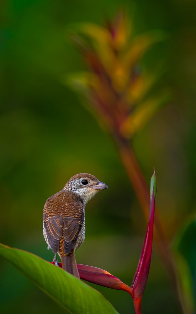 Photograph by Lucas Oh