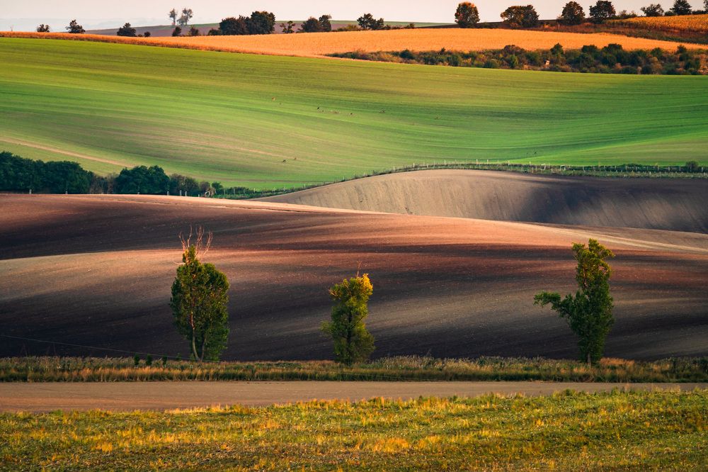 Photograph by Fabian Stepien