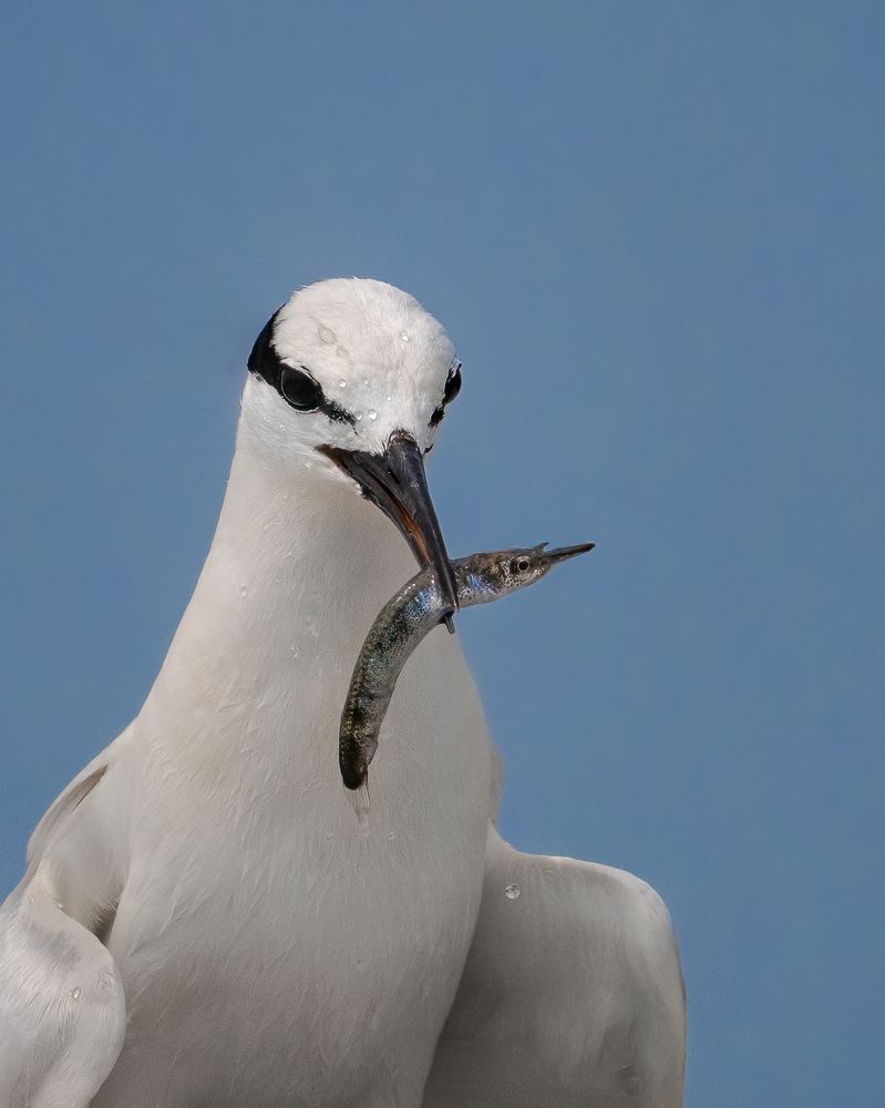 Photograph by Lucas Oh