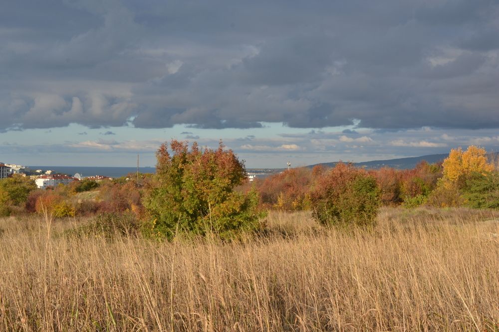 Photograph by Aleksey