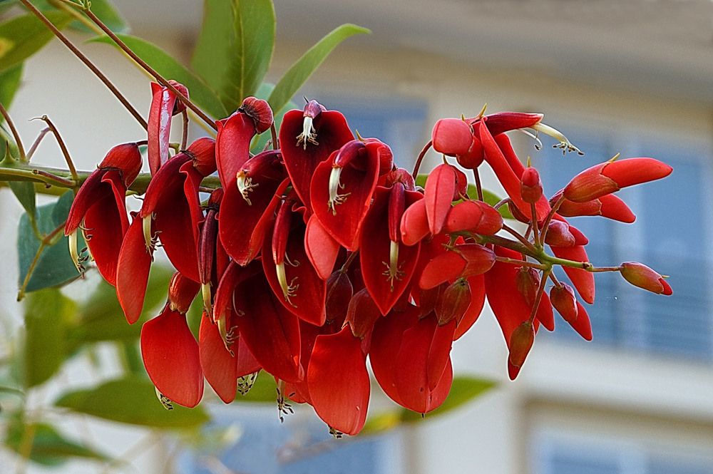 Photograph by Галина Кан