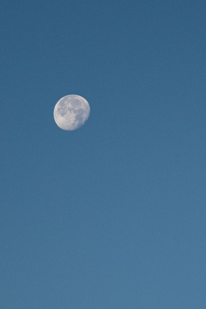 Photograph by Аверьянова Наталья