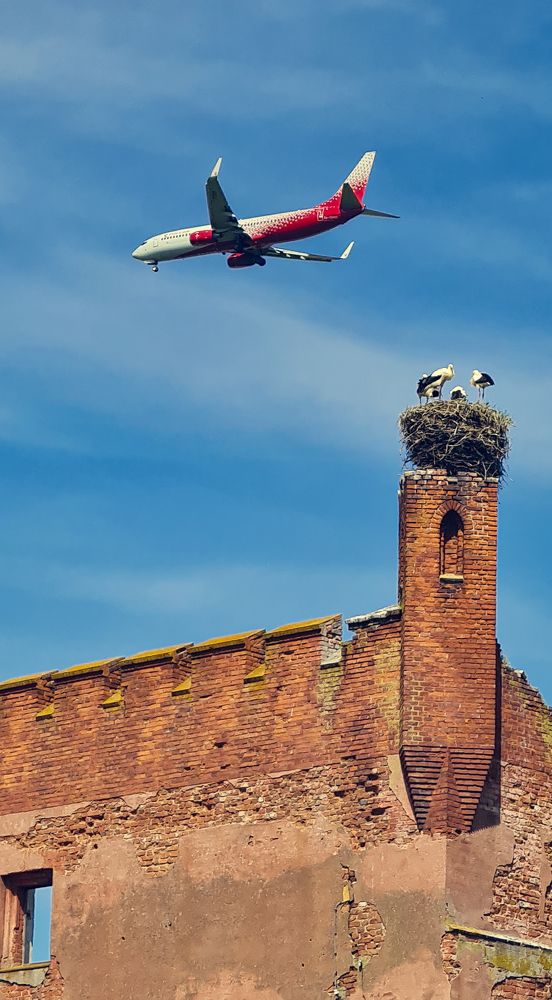 Photograph by Аверьянова Наталья