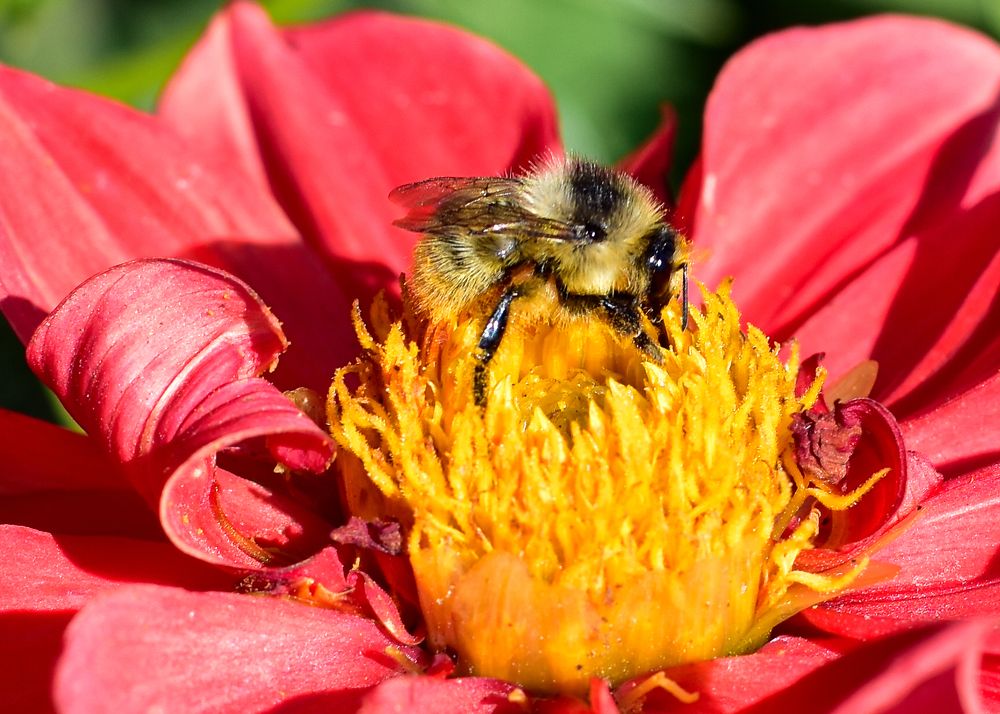 Photograph by Аверьянова Наталья