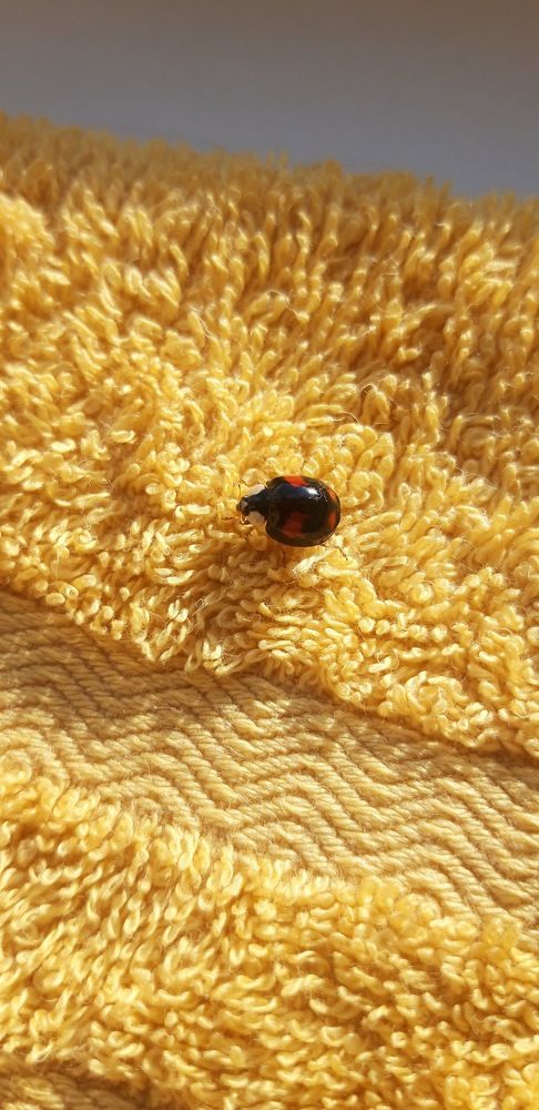 Photograph by Ирина Владимировна